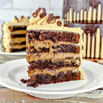 Cake with Reese’s Recipe You’ll Crave Again and Again 11 cake with Reese’s slice garnished with chocolate and peanut butter