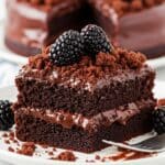 Blackberry Blackout Cake: Easy Homemade Dessert Recipe 3 A slice of rich chocolate cake with chocolate frosting and crumbs, topped with fresh blackberries, sits on a white plate with a fork. The background shows the remaining cake.