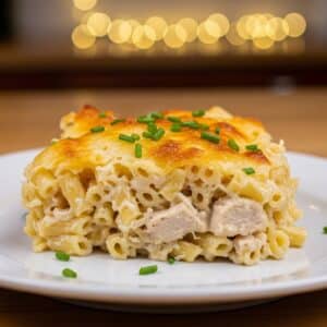 Chicken Noodle Casserole Recipe 2 09 a scoop of Chicken Img 3