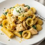 creamy ricotta chicken pasta 2
